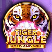 Giao diện ứng dụng di động 12bet Win trên điện thoại thông minh, hiển thị các lựa chọn cá cược thể thao và sòng bạc trực tuyến với tông màu xanh lá cây vàng